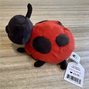 NWT Jellycat Layla Ladybird Ladybug Small Stuffed Bug Plush 5.5" (*See NOTE)